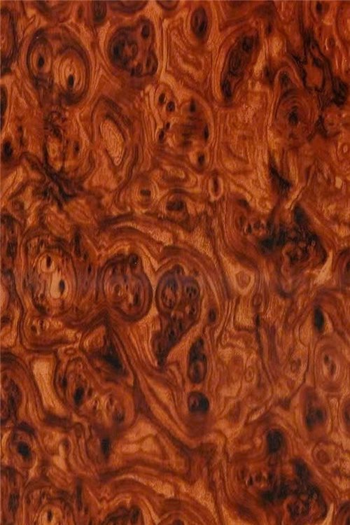 WD-007 — Mahogany Burl